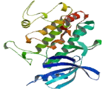 CaM Kinase Like Vesicle Associated Protein (CAMKV)