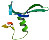 Cache Domain Containing Protein 1 (CACHD1)