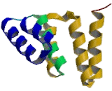 Calcineurin Binding Protein 1 (CABIN1)