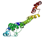 Calcium Binding And Coiled Coil Domain Containing Protein 2 (CALCOCO2)