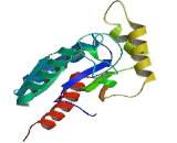 Calcium Channel, Voltage Dependent, Beta 1 Subunit (CACNb1)