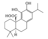 Carnosic Acid (CA)