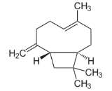 Caryophyllene (CP)