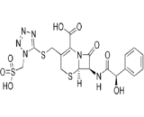 Cefonicid (CNC)