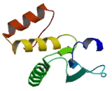 Cell Division Cycle Protein 14B (CDC14B)