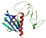 ArfGAP With GTPase, ANK Repeat And PH Domain Containing Protein 4 (AGAP4)