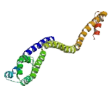 Centromere Protein Q (CENPQ)