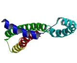 Centrosomal Protein 120kDa (CEP120)