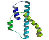Centrosomal Protein 68kDa (CEP68)