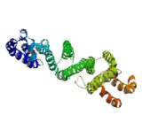 Centrosomal Protein 89kDa (CEP89)