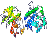 Chitinase (CTS)