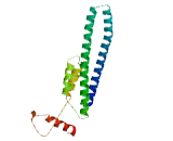 Chromatin Modifying Protein 4A (CHMP4A)