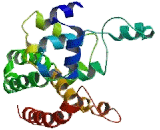 Chromatin Modifying Protein 4B (CHMP4B)