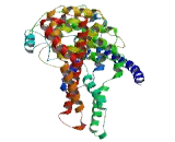 Coiled Coil Domain Containing Protein 181 (CCDC181)