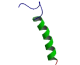 Type III Endosome Membrane Protein (TEMP)