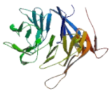 Cilia And Flagella Associated Protein 74 (CFAP74)