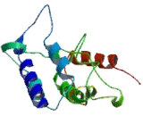 Chromosome 1 Open Reading Frame 64 (C1orf64)