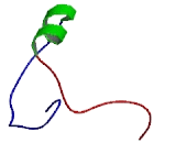 Transmembrane Protein 254 (TMEM254)