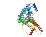 Chromosome 10 Open Reading Frame 68 (C10orf68)