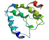 Chromosome 10 Open Reading Frame 91 (C10orf91)