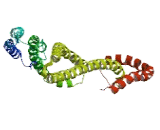 Coiled Coil Domain Containing Glutamate Rich Protein 1 (CCER1)