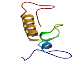 Transmembrane Protein 52B (TMEM52B)