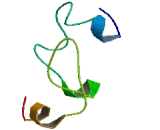 Cytochrome C Oxidase Assembly Protein 14 (COX14)