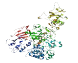 Cilia And Flagella Associated Protein 54 (CFAP54)