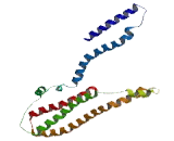 Single Pass Membrane And Coiled Coil Domain Containing Protein 2 (SMCO2)