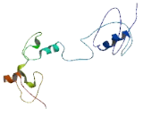 Chromosome 12 Open Reading Frame 74 (C12orf74)