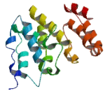 ER Membrane Protein Complex Subunit 7 (EMC7)
