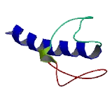 Enkurin Domain Containing Protein 1 (ENKD1)