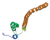 Chromosome 16 Open Reading Frame 87 (C16orf87)