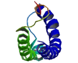 Chromosome 16 Open Reading Frame 93 (C16orf93)