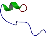 Chromosome 17 Open Reading Frame 51 (C17orf51)