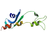 Chromosome 17 Open Reading Frame 74 (C17orf74)