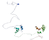 Chromosome 18 Open Reading Frame 25 (C18orf25)