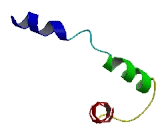 Tubulin Polyglutamylase Complex Subunit 1 (PGS1)