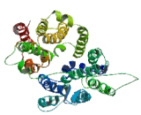 Major Facilitator Superfamily Domain Containing Protein 12 (MFSD12)