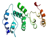 Chromosome 2 Open Reading Frame 73 (C2orf73)