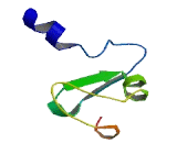 Replication Termination Factor 2 Domain Containing Protein 1 (RTFDC1)