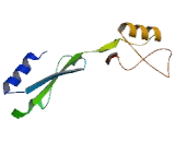 SLX4 Interacting Protein (SLX4IP)