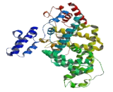 GRF Type Zinc Finger Domain Containing Protein 1 (ZGRF1)