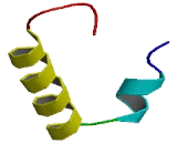 Chromosome 5 Open Reading Frame 46 (C5orf46)