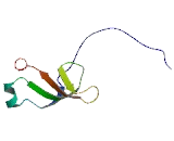 Small Integral Membrane Protein 8 (SMIM8)