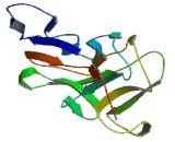 Transmembrane Protein 248 (TMEM248)