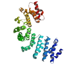 Transmembrane Protein 245 (TMEM245)