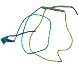 Chromosome X Open Reading Frame 24 (CXorf24)