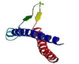 Chromosome Y Open Reading Frame 15B (CYorf15B)