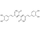 Cichoric Acid (CA)
